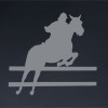 Horse-show-ball-thumb