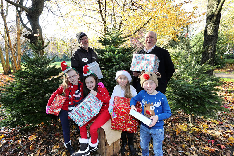 Christmas Trees for Jack & Jill