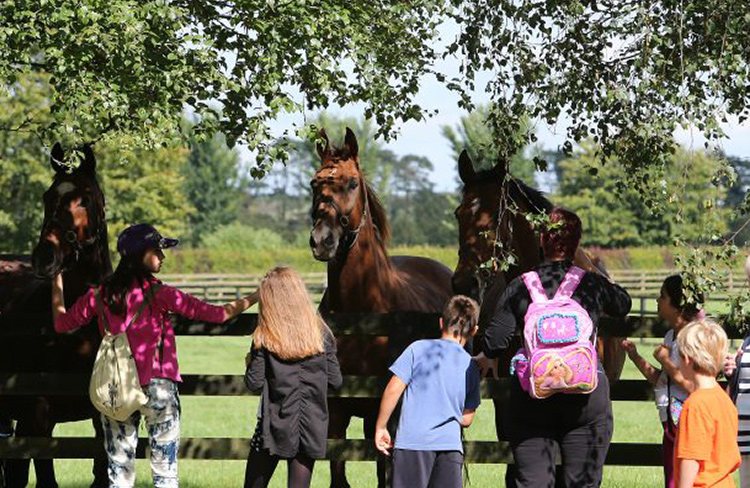 National Stud and Gardens Family Pass