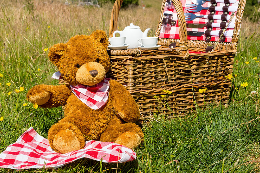 Teddy Bear at Picnic