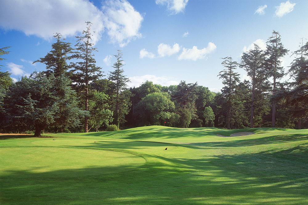 O'Meara pitch for Golf Day