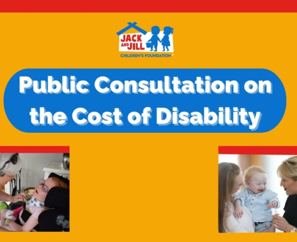 Public Consultation on the Cost of Disability