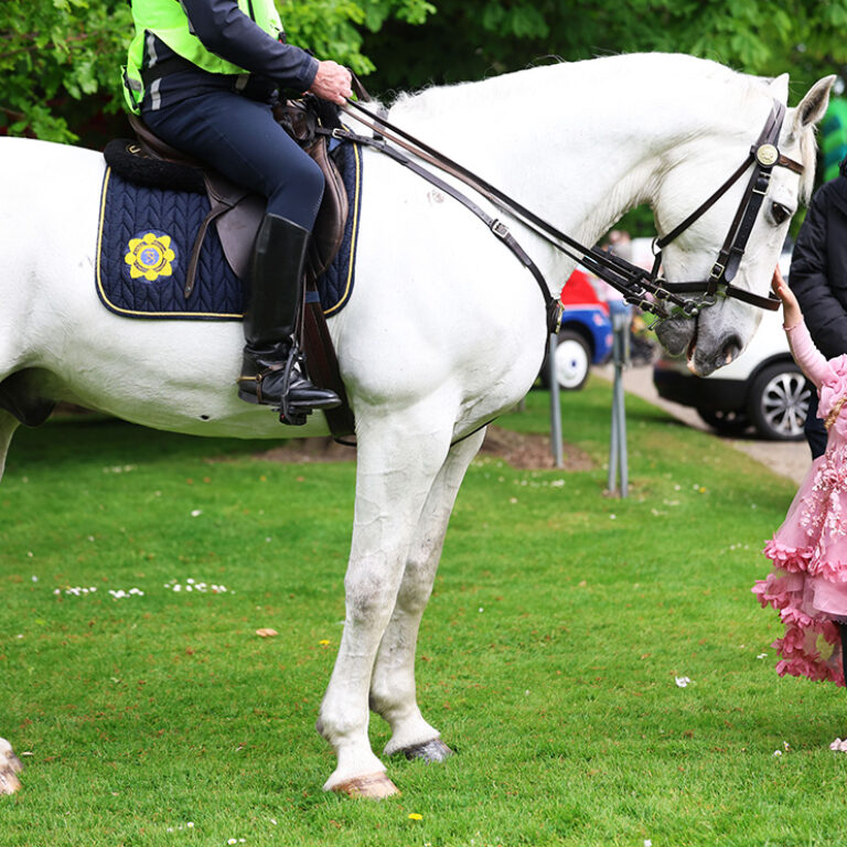 Attendees at Jack and Jill Family Fun Day 2026