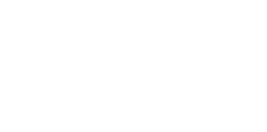 Squid Logo Squid Logo